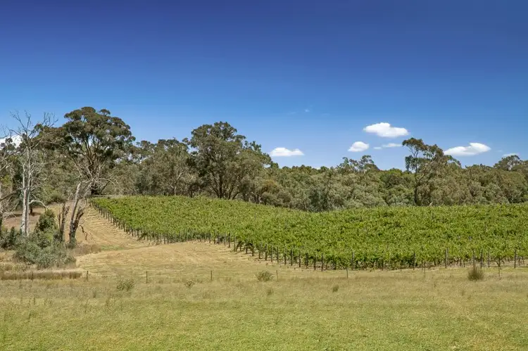 Seventh view of Homely land listing, 401 Northern Highway, Heathcote VIC 3523