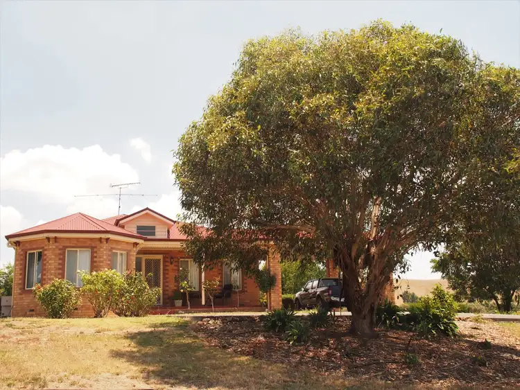 Second view of Homely rural property listing, 151 Creeds Road, Murrindindi VIC 3717