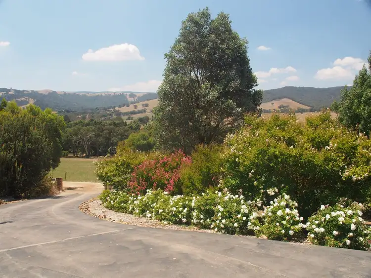 Sixth view of Homely rural property listing, 151 Creeds Road, Murrindindi VIC 3717