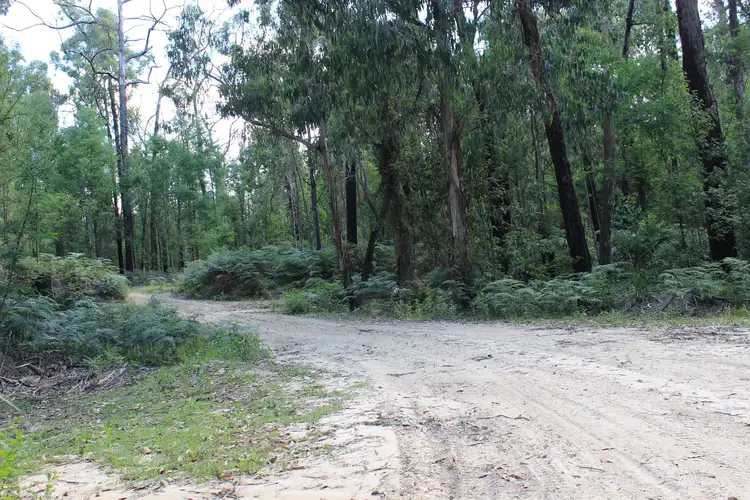 Main view of Homely land listing, 345 Old Toolangi-Dixons Creek Road, Toolangi VIC 3777