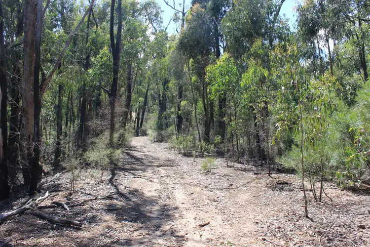 Second view of Homely land listing, 345 Old Toolangi-Dixons Creek Road, Toolangi VIC 3777
