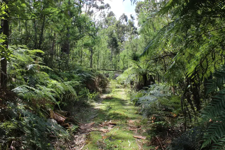 Third view of Homely land listing, 345 Old Toolangi-Dixons Creek Road, Toolangi VIC 3777