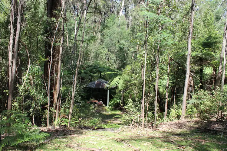 Fifth view of Homely land listing, 345 Old Toolangi-Dixons Creek Road, Toolangi VIC 3777