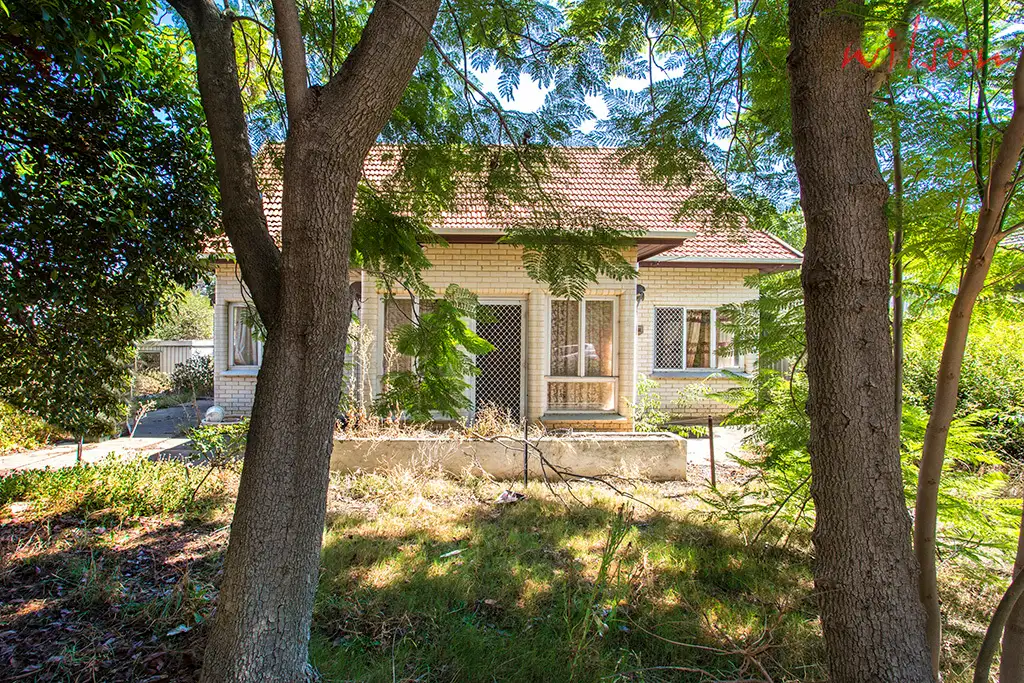 Main view of Homely house listing, 162 Ayers Avenue, Melrose Park SA 5039