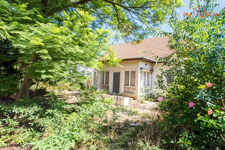 Second view of Homely house listing, 162 Ayers Avenue, Melrose Park SA 5039