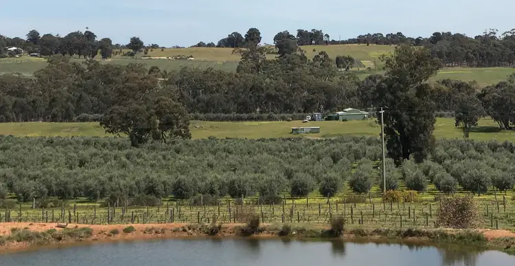 Sixth view of Homely rural property listing, 1 Northern Highway, Ladys Pass VIC 3523