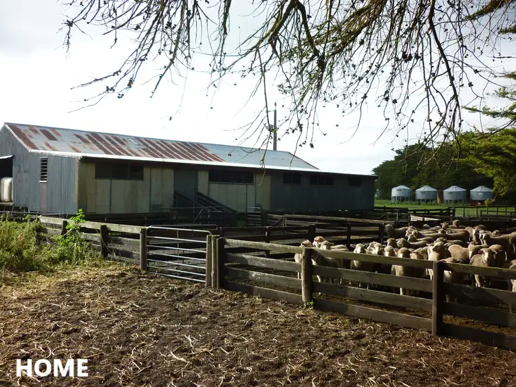 Third view of Homely rural property listing, 581 Mount Hope Road, Rendelsham SA 5280