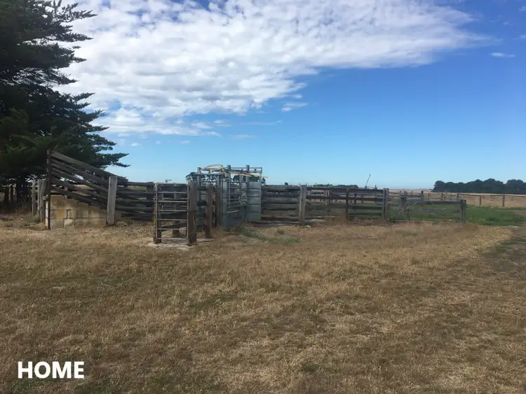 Seventh view of Homely rural property listing, 581 Mount Hope Road, Rendelsham SA 5280