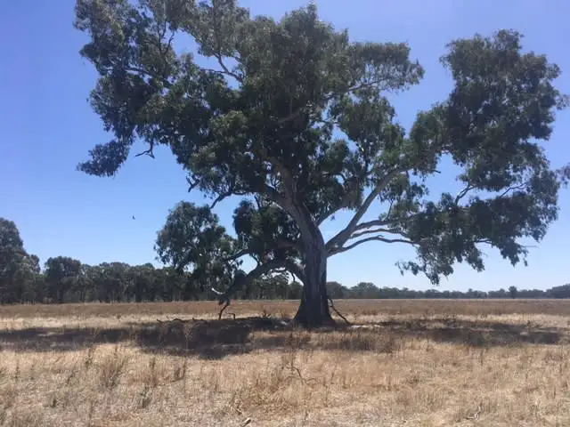 Main view of Homely land listing, 1 Nagambie-Locksley Road, Avenel VIC 3664
