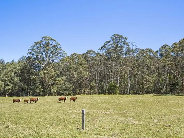 Fourth view of Homely rural property listing, 225 Woodburn Road, Morton NSW 2538