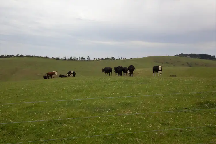 Second view of Homely rural property listing, Sheepways Road, Krowera VIC 3945