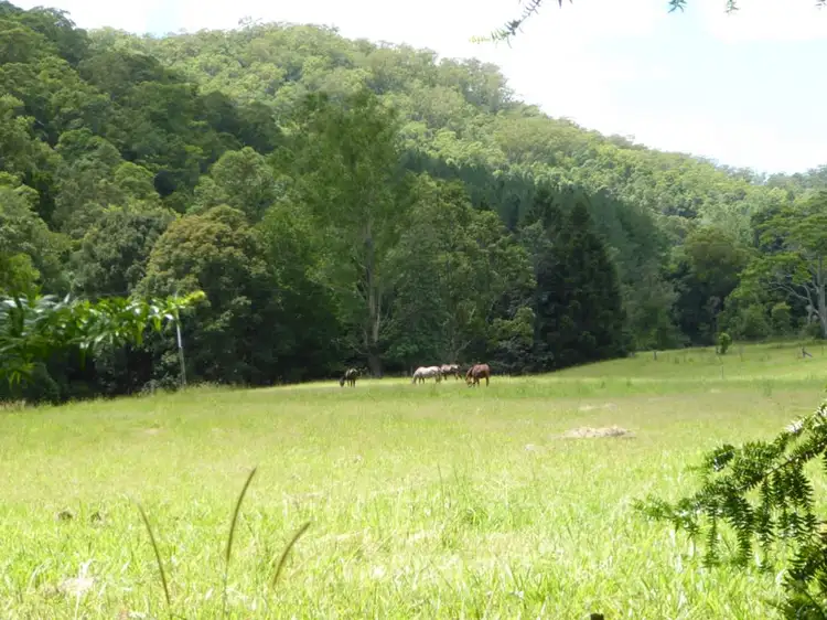 Main view of Homely rural property listing, 496 Rowlands Creek Road, Uki NSW 2484