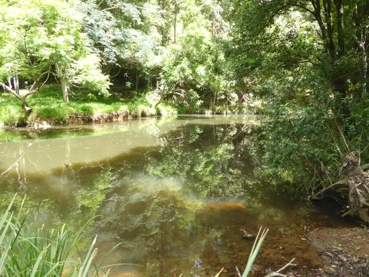 Second view of Homely rural property listing, 496 Rowlands Creek Road, Uki NSW 2484