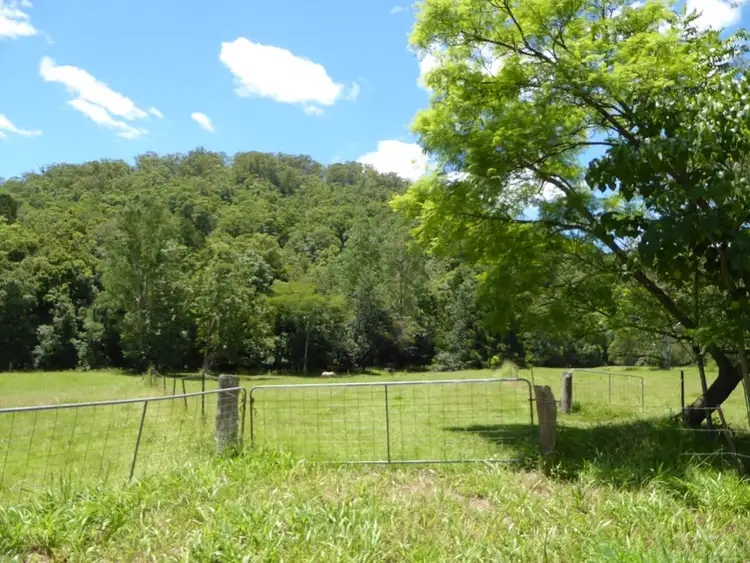 Fifth view of Homely rural property listing, 496 Rowlands Creek Road, Uki NSW 2484
