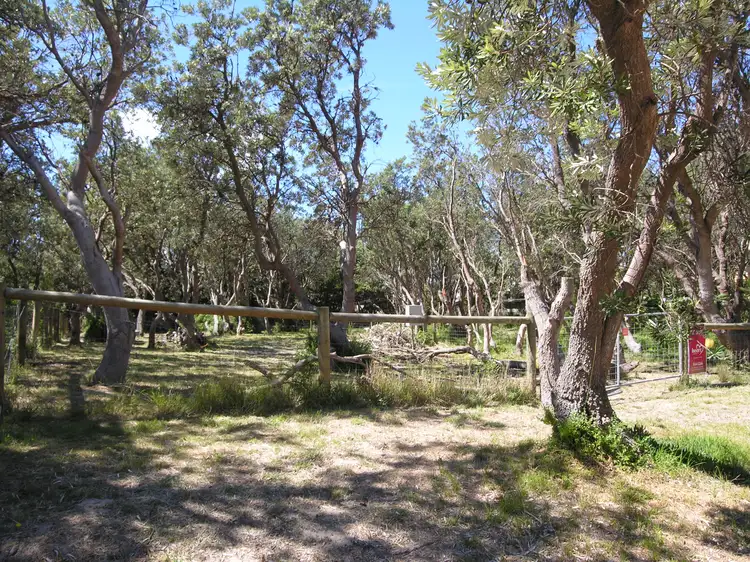 31 Macassar Crescent, The Honeysuckles VIC 3851