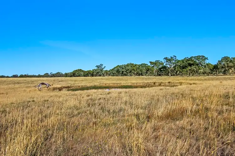 Third view of Homely land listing, LOT 12Z/1220 Heathcote-Redesdale Road, Heathcote VIC 3523
