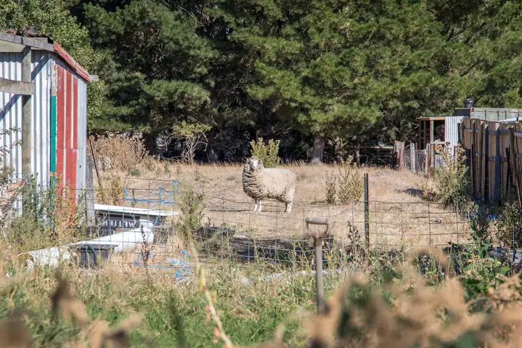 Second view of Homely house listing, 97 Main Road, Lancefield VIC 3435