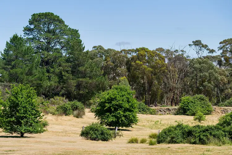 Second view of Homely land listing, 9 White Quartz Road, Fryerstown VIC 3451