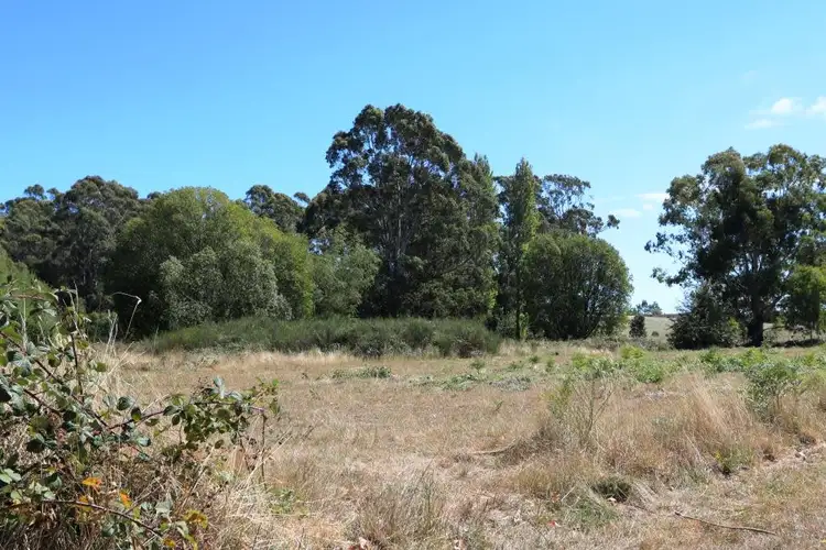 Second view of Homely land listing, 116 Frith Mill Road, Lyonville VIC 3461