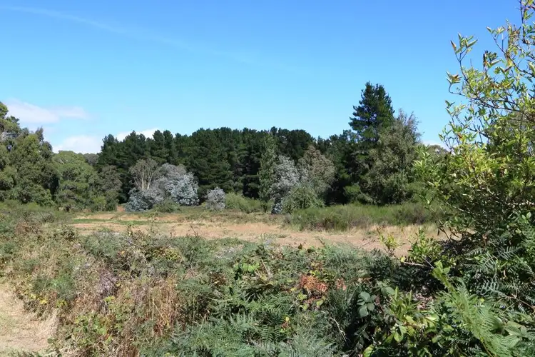 Fifth view of Homely land listing, 116 Frith Mill Road, Lyonville VIC 3461