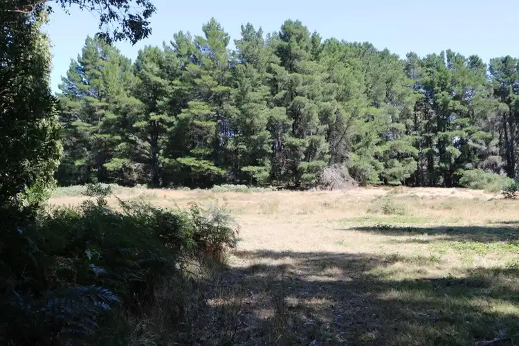 Sixth view of Homely land listing, 116 Frith Mill Road, Lyonville VIC 3461