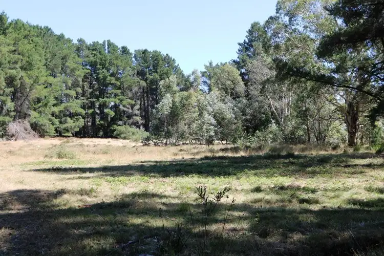 Seventh view of Homely land listing, 116 Frith Mill Road, Lyonville VIC 3461