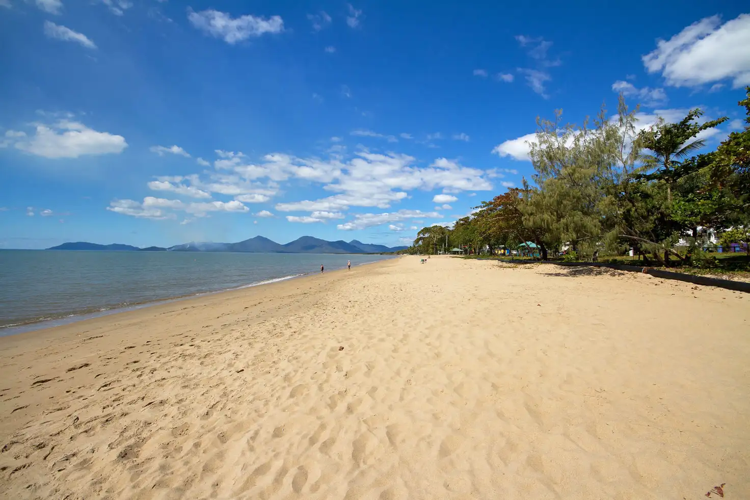 Main view of Homely house listing, 8 Poinsettia Street, Holloways Beach QLD 4878