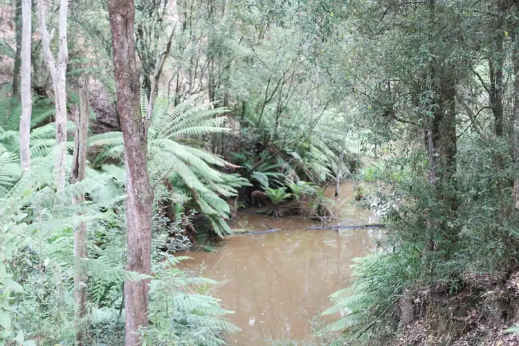 Main view of Homely land listing, 8 Rubida Drive, Scotchtown TAS 7330