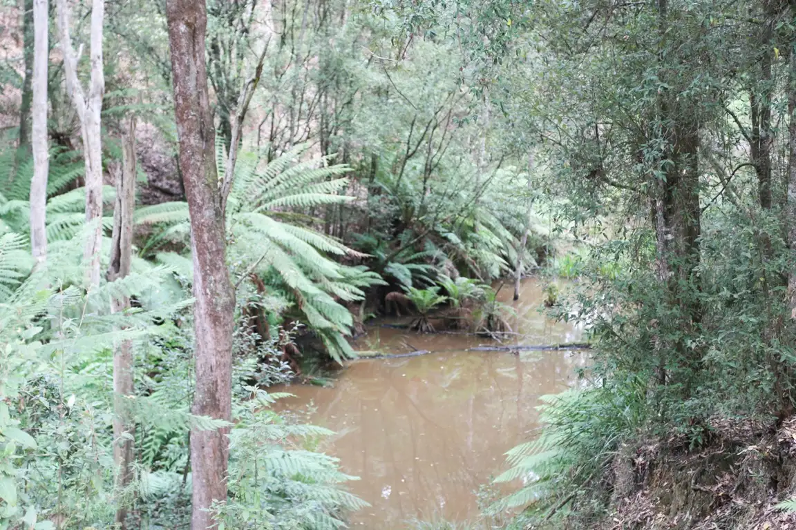 Main view of Homely land listing, 8 Rubida Drive, Scotchtown TAS 7330