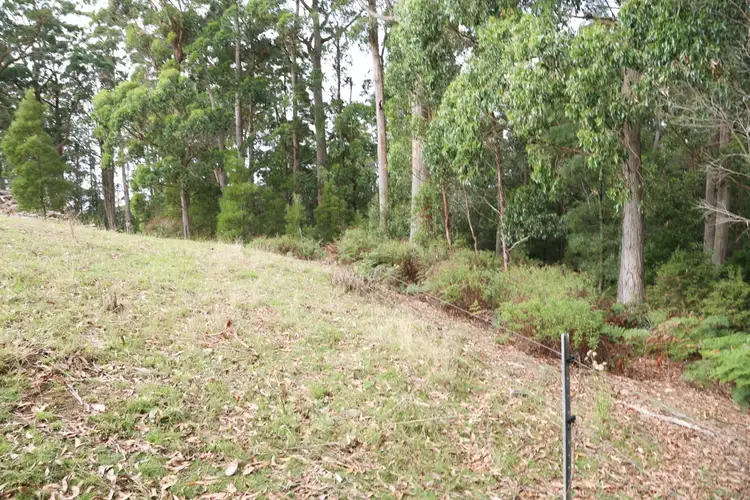 Third view of Homely land listing, 8 Rubida Drive, Scotchtown TAS 7330