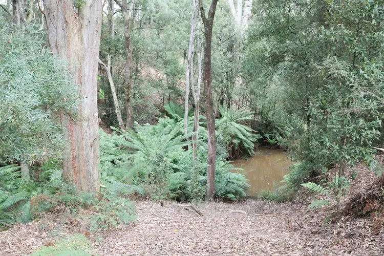 Fourth view of Homely land listing, 8 Rubida Drive, Scotchtown TAS 7330