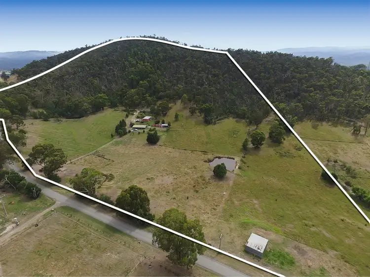 Main view of Homely house listing, 208 Pinnacle Lane, Dixons Creek VIC 3775
