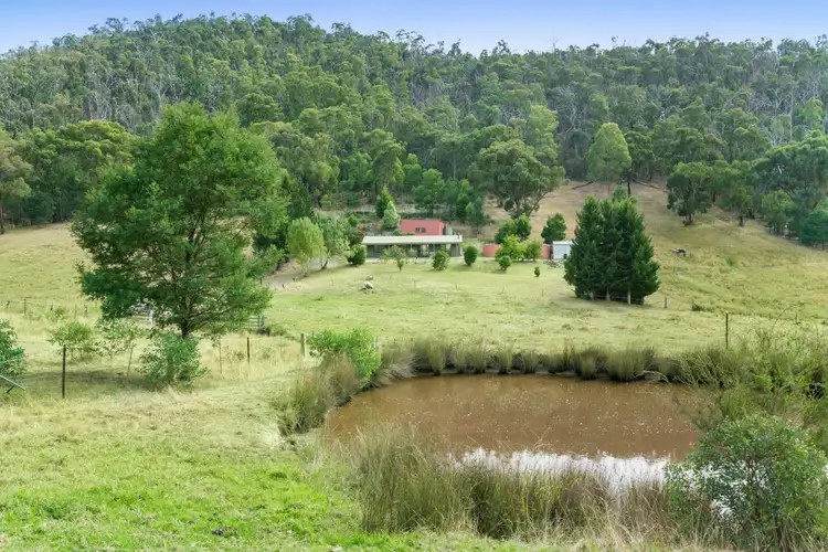 Fifth view of Homely house listing, 208 Pinnacle Lane, Dixons Creek VIC 3775