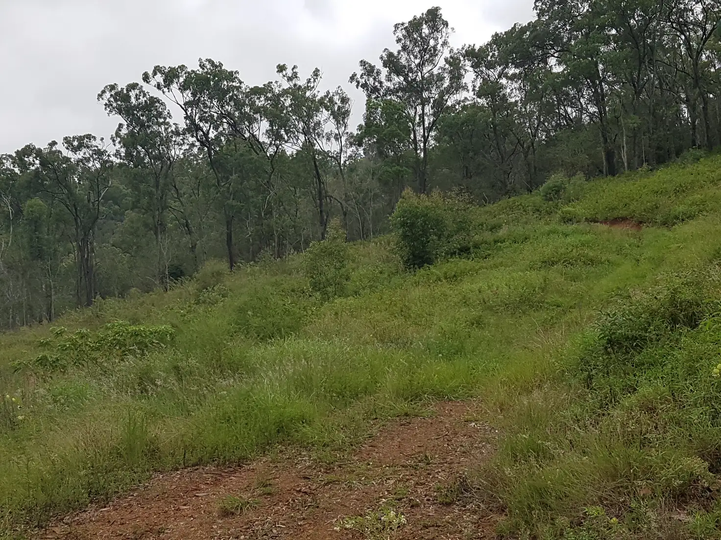 Main view of Homely house listing, Lot 2 Lot 2 Tomohon Heights Close, Logan Village QLD 4207