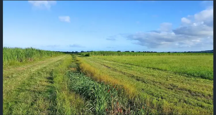 Fourth view of Homely land listing, 54 - 88 Dynes Rd, Valdora QLD 4561