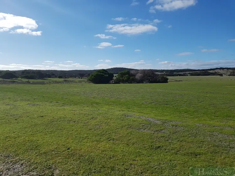 Fifth view of Homely rural property listing, 142 Florance Road, Haines SA 5223