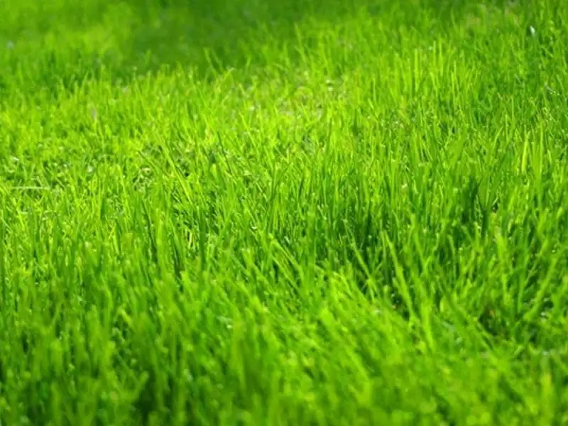 Main view of Homely land listing, Address available on request