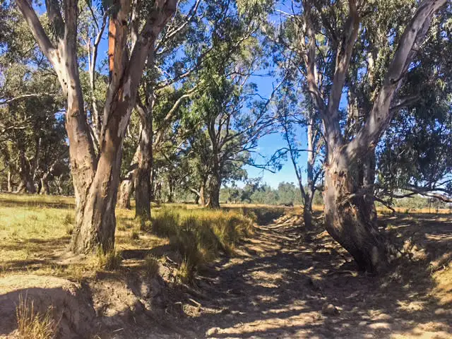 Second view of Homely rural property listing, Tabilk-Monea Road, Avenel VIC 3664