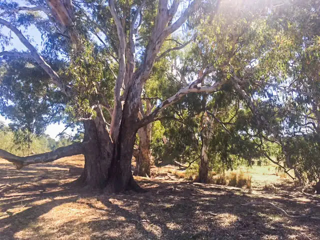 Fifth view of Homely rural property listing, Tabilk-Monea Road, Avenel VIC 3664