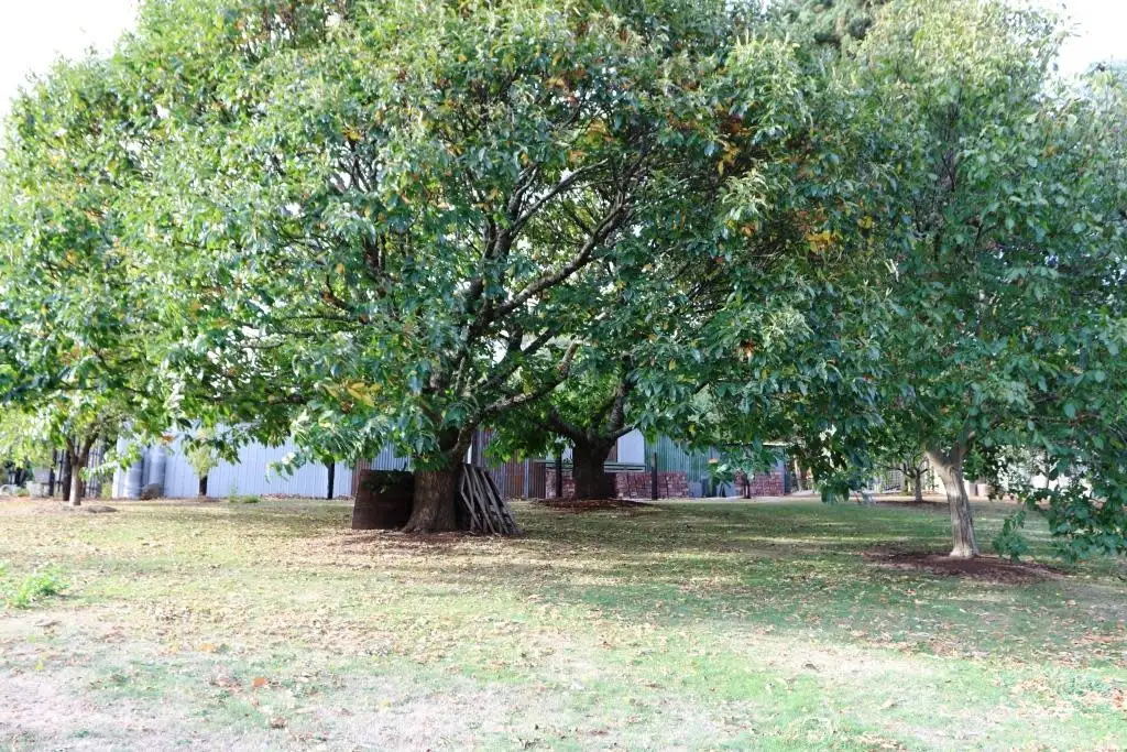 Main view of Homely land listing, 5 Walkers Road, Lyonville VIC 3461