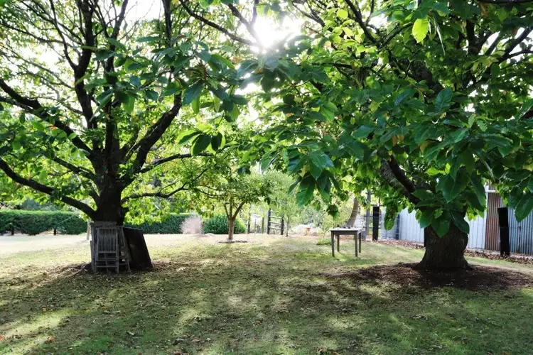 Sixth view of Homely land listing, 5 Walkers Road, Lyonville VIC 3461