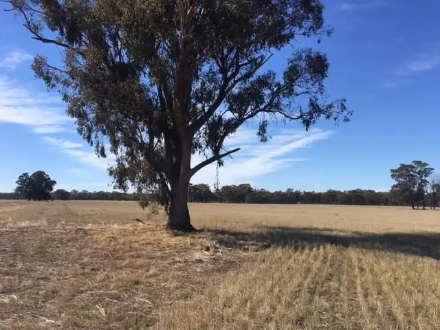 Main view of Homely land listing, 1 Corner Starling Road and Dargalong Road, Avenel VIC 3664