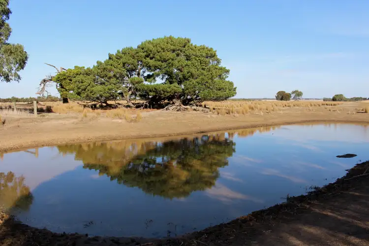 Fifth view of Homely rural property listing, 1115 Dickins Road, Freshwater Creek VIC 3217