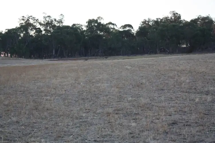 Fifth view of Homely land listing, 36 Lakeside Drive, Chesney Vale VIC 3725