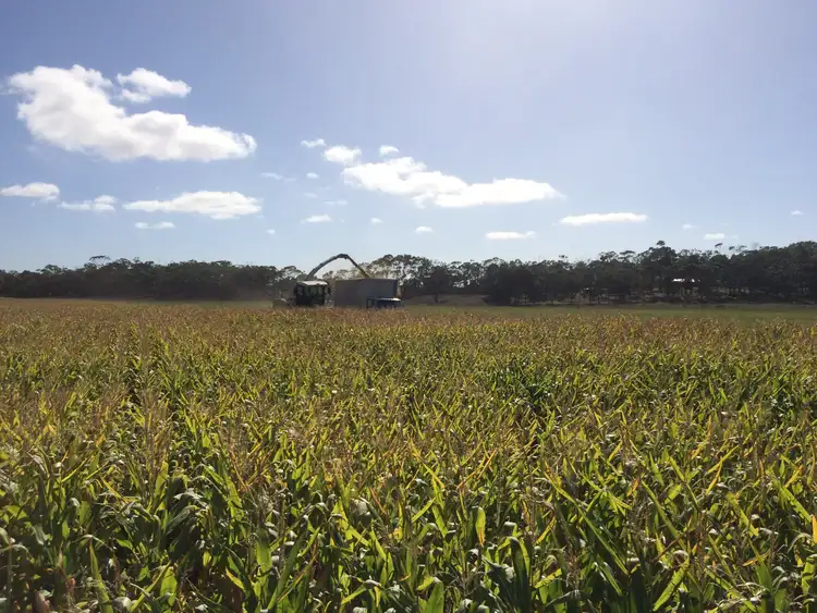 Lot 2 & 3 Gorae Road, Bolwarra VIC 3305