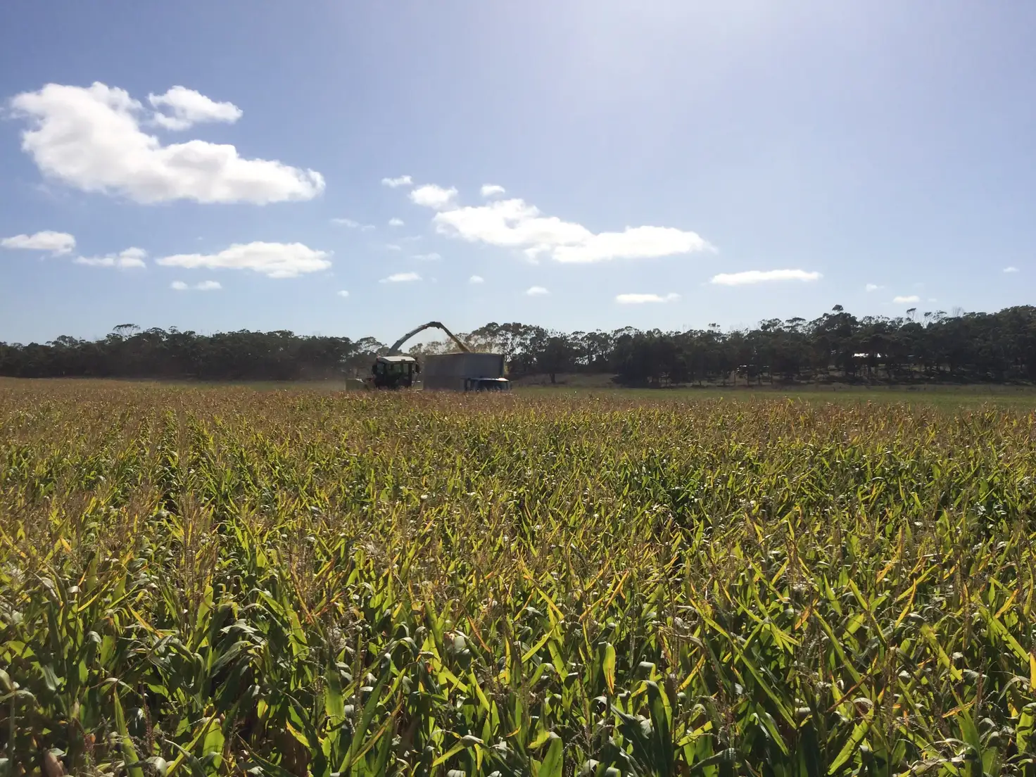 Main view of Homely rural property listing, Lot 2 & 3 Gorae Road, Bolwarra VIC 3305
