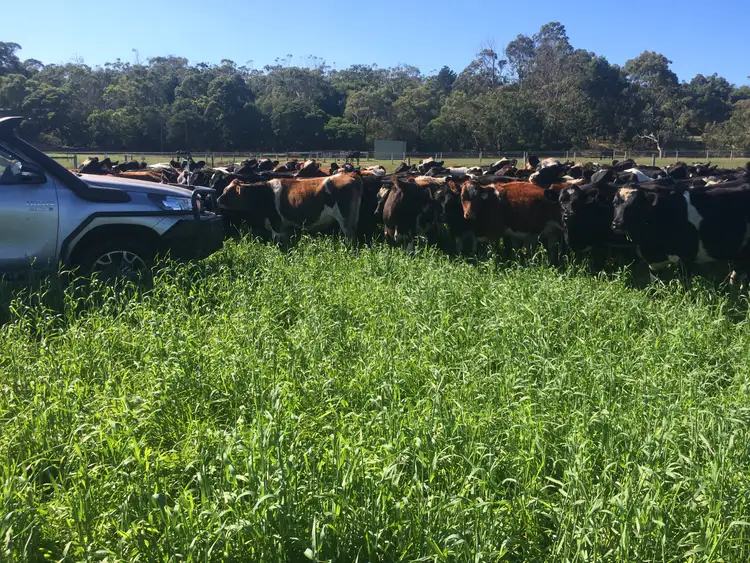 Fourth view of Homely rural property listing, Lot 2 & 3 Gorae Road, Bolwarra VIC 3305