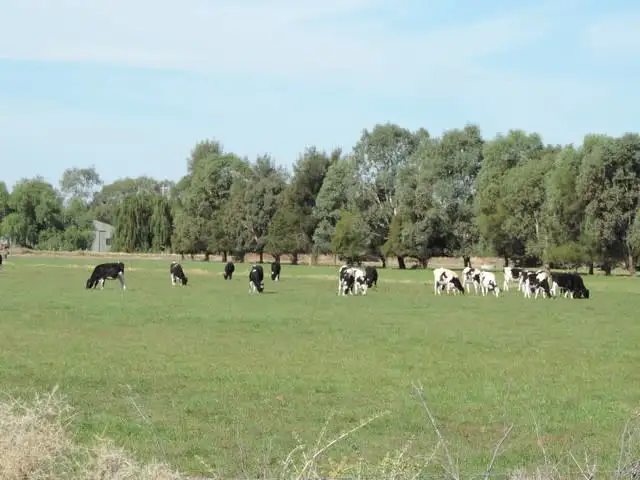 Second view of Homely rural property listing, 8 Thompsons Weir Road, Leitchville VIC 3567