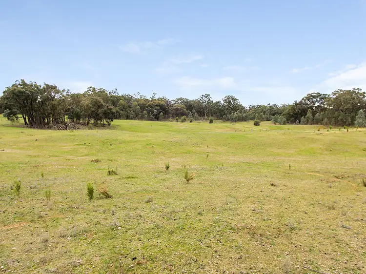 Fifth view of Homely rural property listing, 329 Costerfield-Redcastle Road, Heathcote VIC 3523