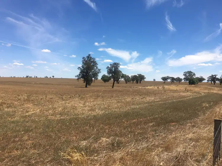 Main view of Homely rural property listing, 762 BARINGHUP WEST ROAD, Eddington VIC 3472